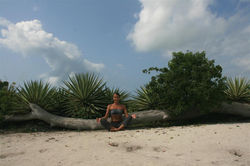 contemplate Watamu