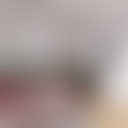 Colour Scheme and Lighting Plan