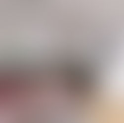 Colour Scheme and Lighting Plan