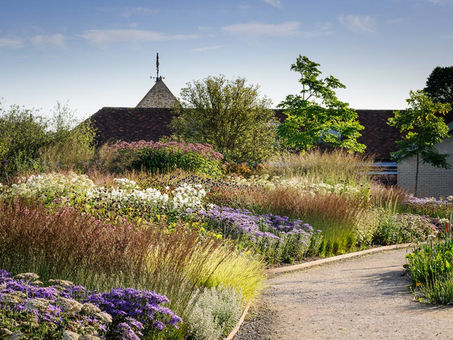 2024 Landscape Design Trends: Sustainability, Wellness, and Art