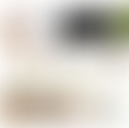 Modern Living. Relaxing atmosphere, earthy tones