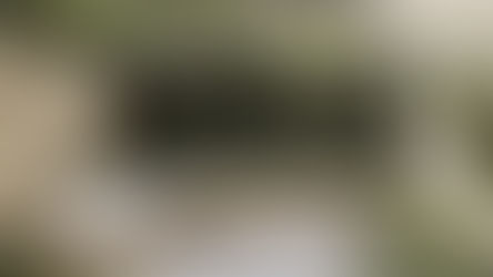 Modern Garden Benches & Seating: Where Comfort Meets Style Outdoors