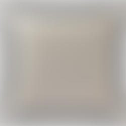 Dorma Purity Carro Embroidered Cushion