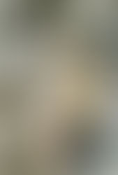 Thoughtful Décor to Bring Warmth, Meaning and Beauty Into Your Home