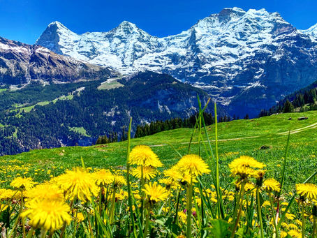 Sun terrace above the valley 