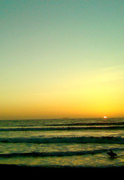 imperial beach sunset (surfer) 7
