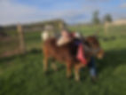 IMG_3313.jpeg