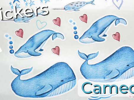 How To Make Vinyl Stickers With Silhouette Cameo 4? [Step-By-Step]