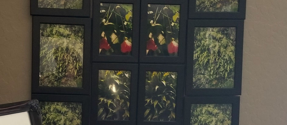 "Photo"synthesize This!