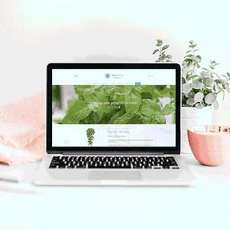 AEROSPRING-ecommerce-website.gif