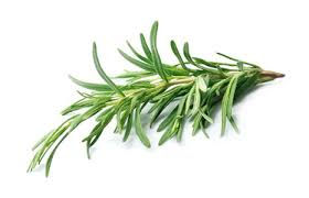 Huile essentielle de Romarin Bio