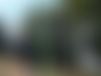 ☀️公園遊び☀️✨