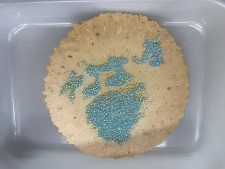 😄落書きせんべい🍘