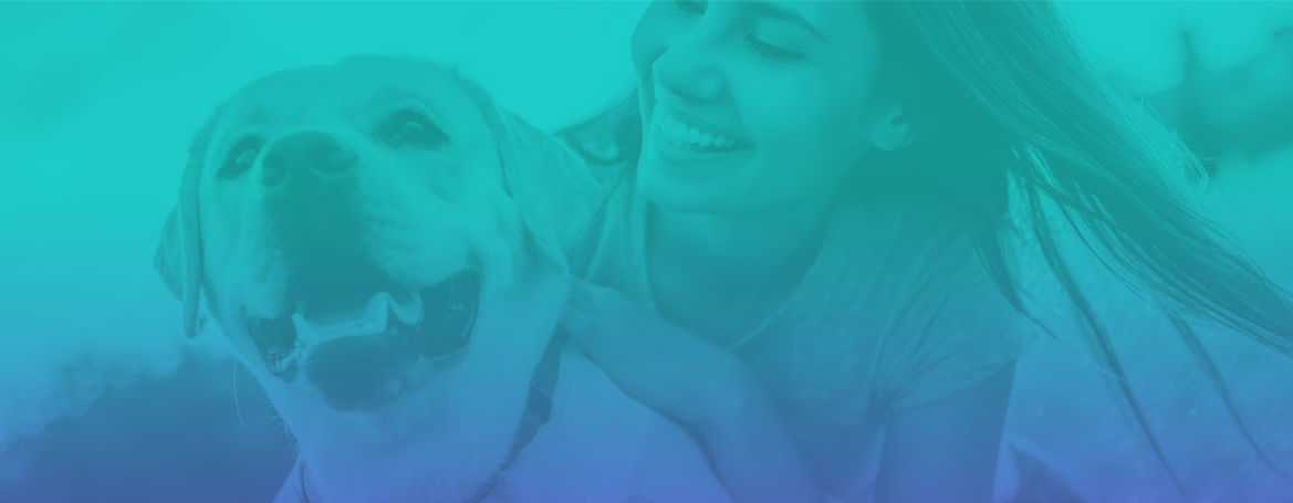 Elite-K9-About-Us_headerBG.jpg