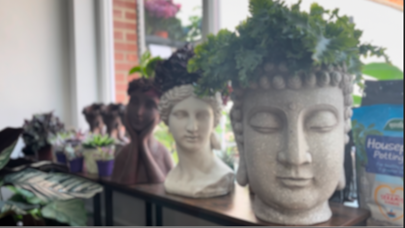 Screenshot 2023-06-29 at 14.33.06.png