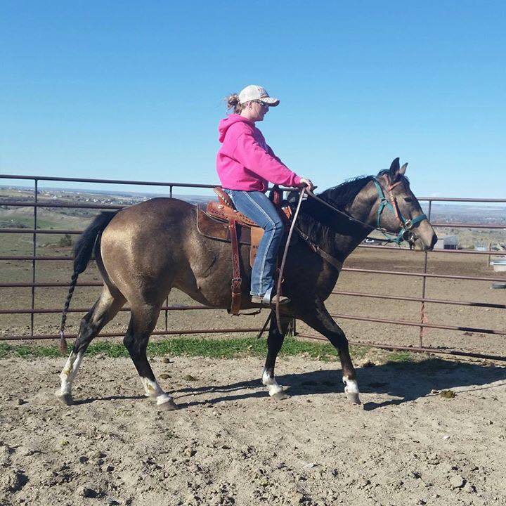 Ashley Quarter Horses Montana Photo Gallery