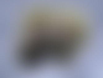 Big Apple X Kush Mints