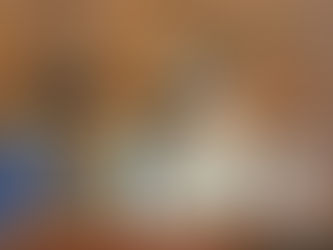 漢密爾島上的浪漫婚禮 北昆士蘭 Hamoton Island Wedding May2015