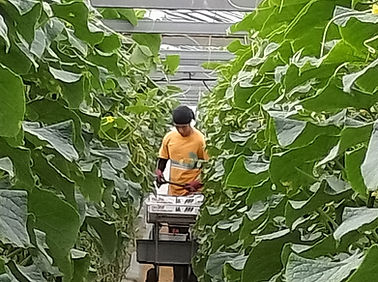 小倉健太.jpg