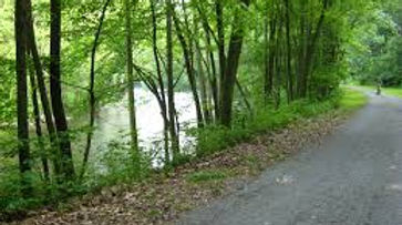 Lower Trail