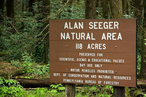 Alan Seeger