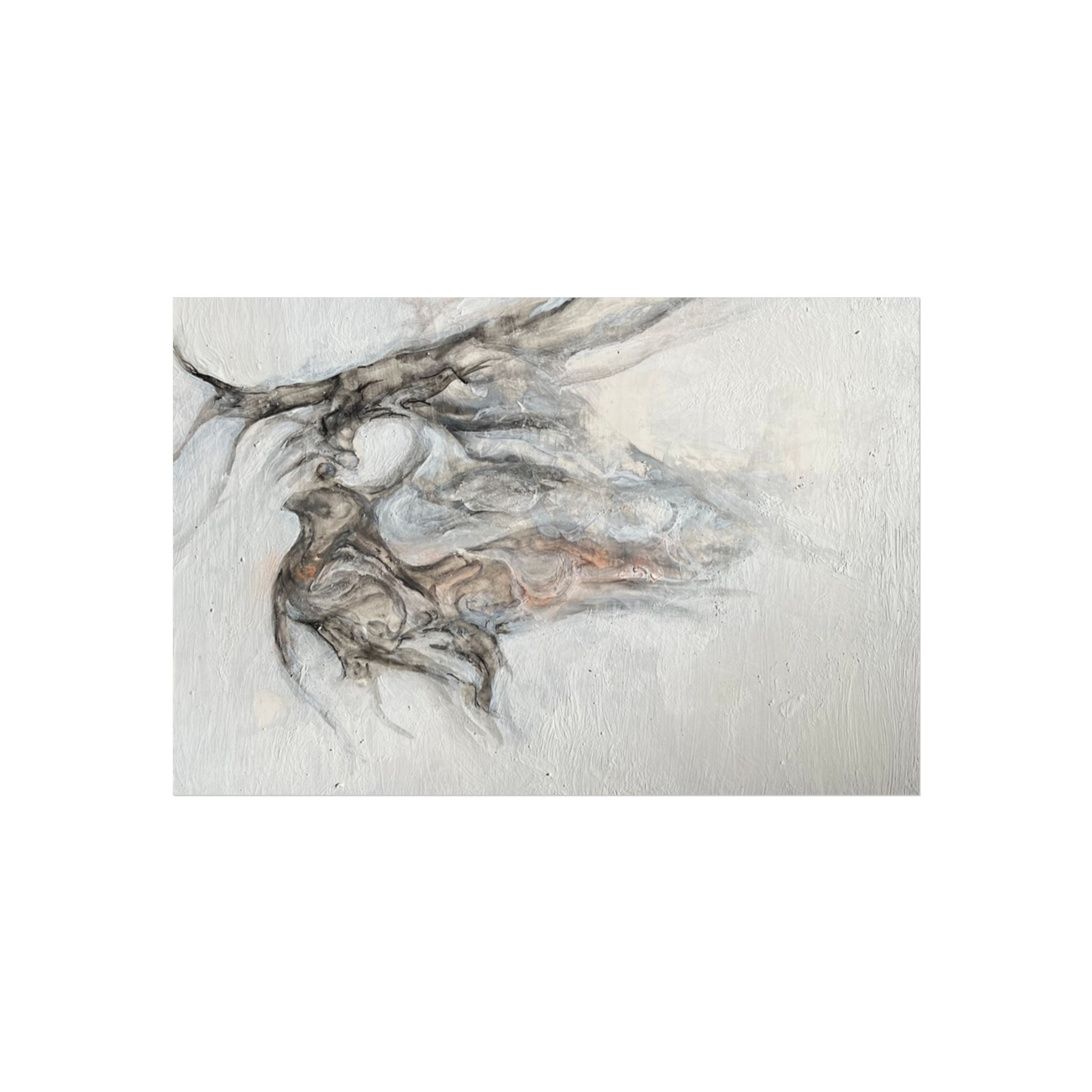 Ghost Histology, Poster
