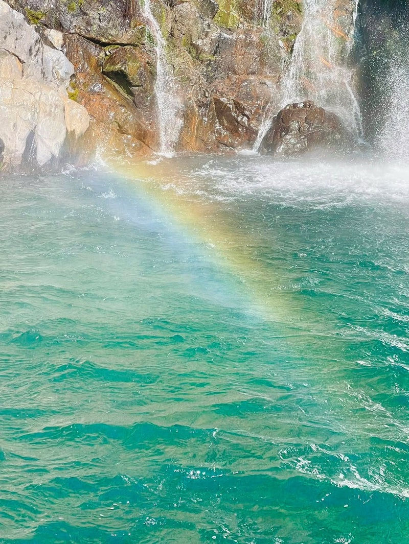 屋久島リトリート わたしの源へ還る いのちの祝いと水の祈り