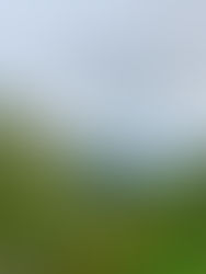 De mooiste hikes & wandelingen op Madeira