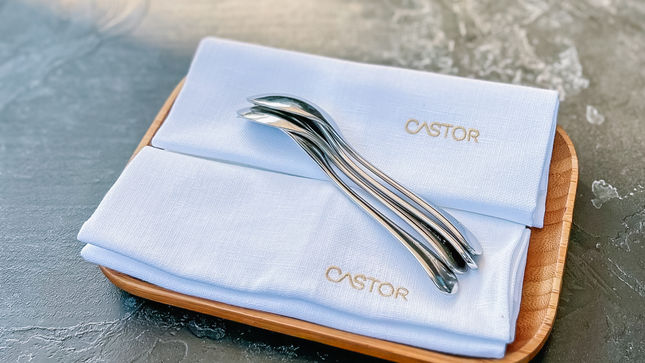 Castor** | Waregem, BE