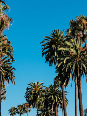 Onze Roadtrip door West-Amerika