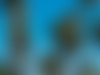 Onze Roadtrip door West-Amerika