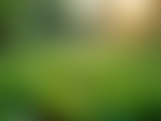 The Importance of Sustainable Living in Today's World