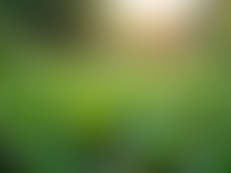 The Importance of Sustainable Living in Today's World