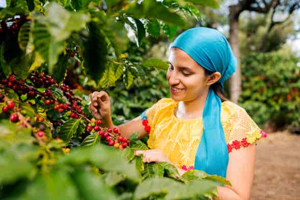 Ruta de café y saberes ancestrales