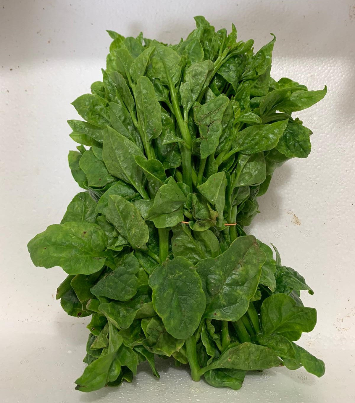 Di Wang Miao (地王苗)