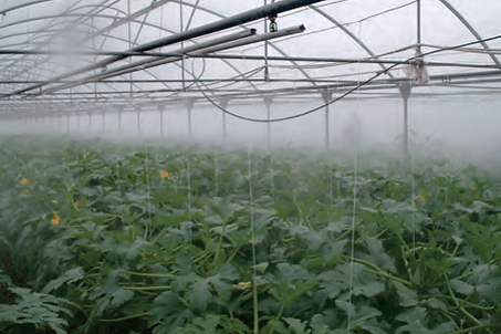 brumisateur agricole