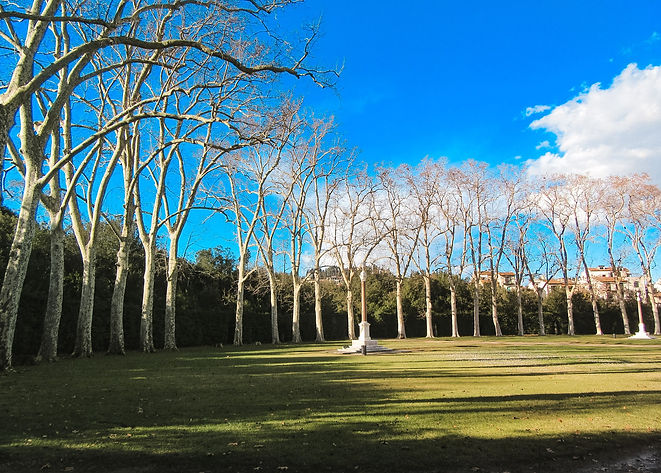 Giardino di Boboli.jpeg