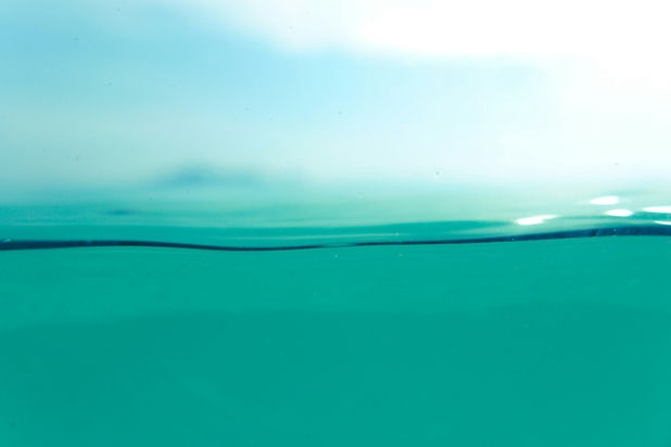Water management.jpg