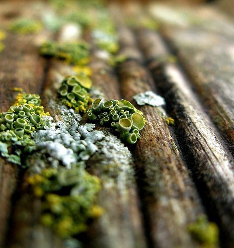 Минутка вдохновения.