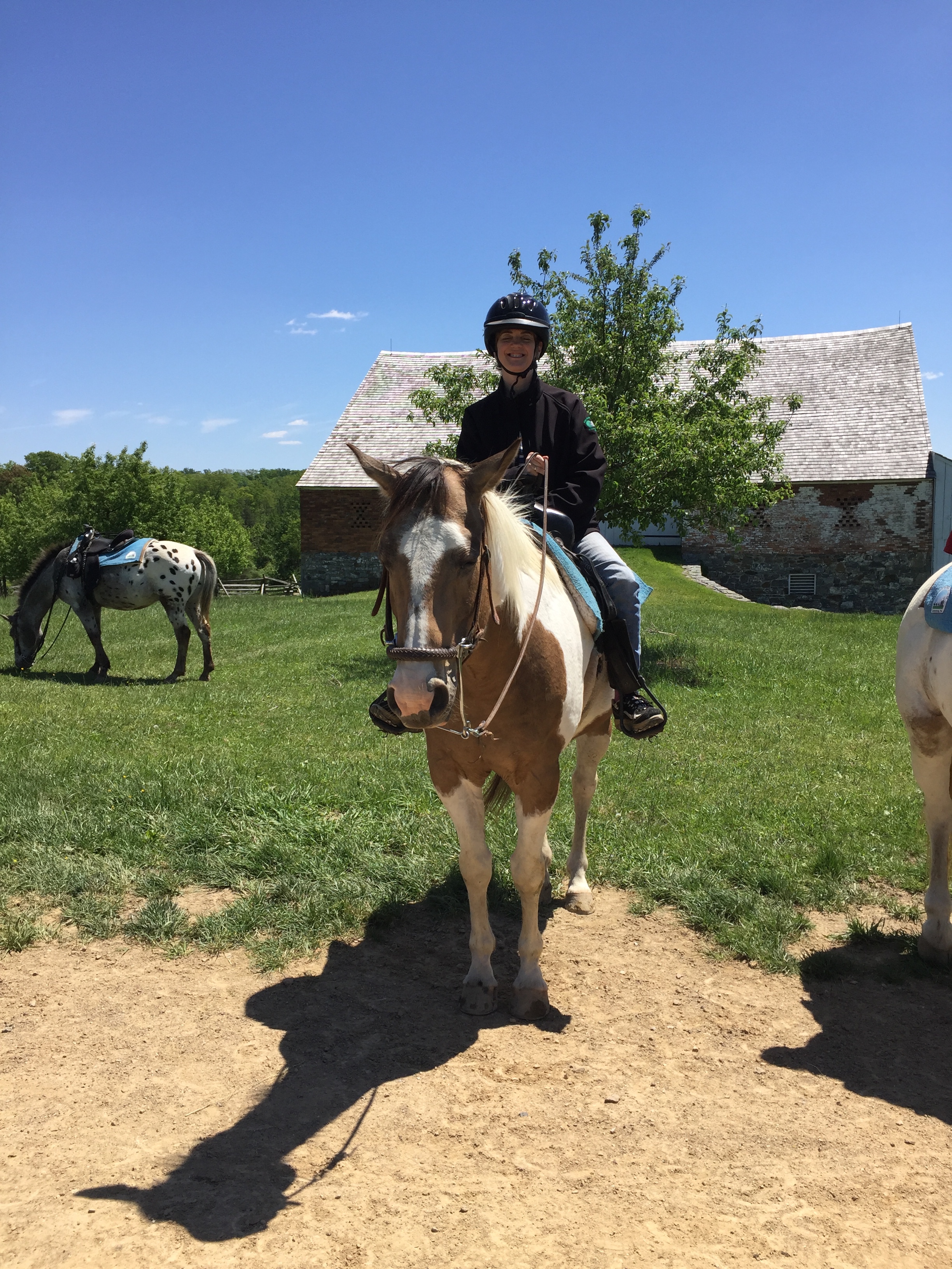 Gettysburg Gettyup