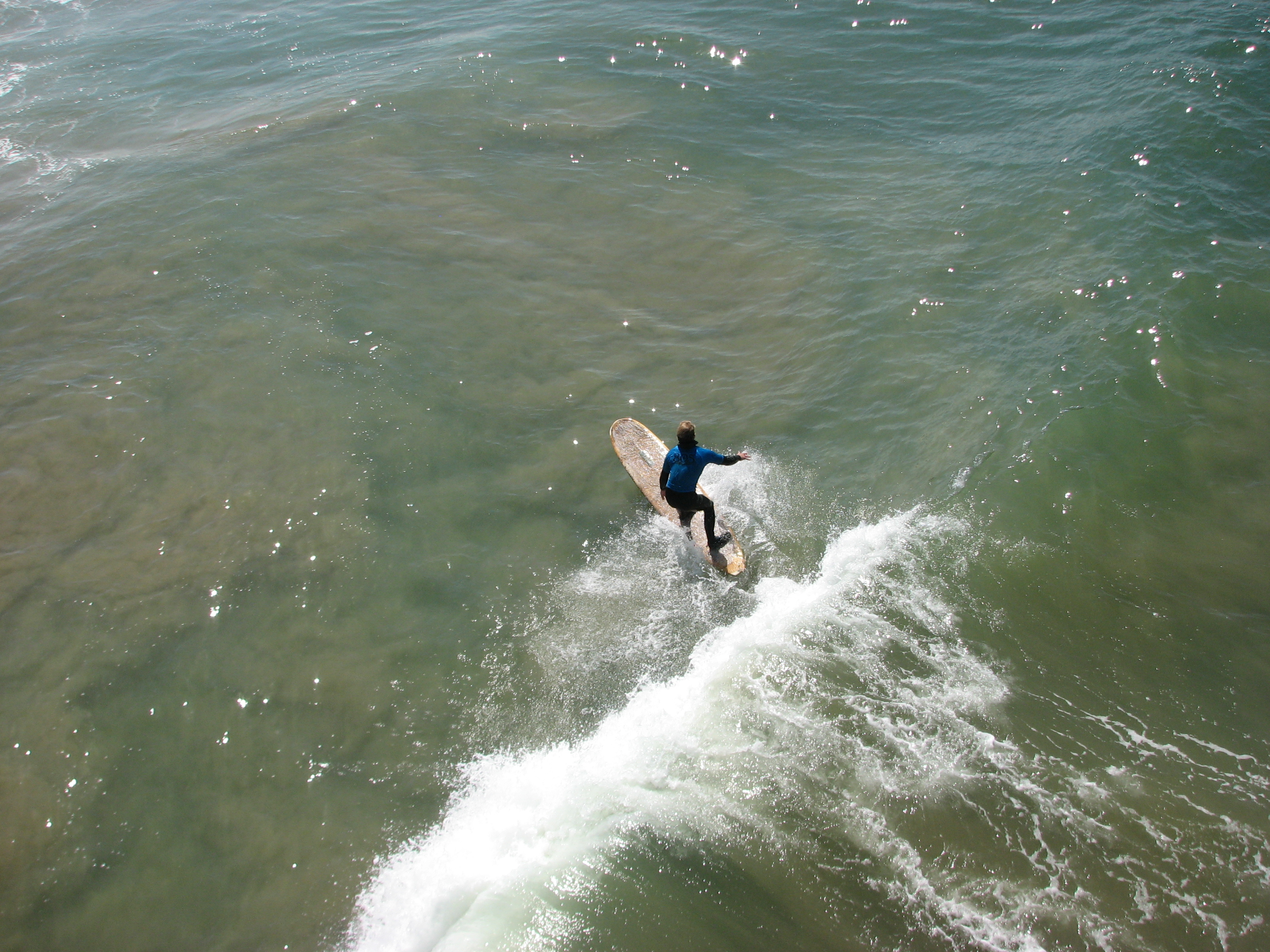 Surf city