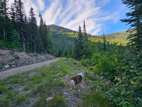 Welcome to MountainTopSpice!