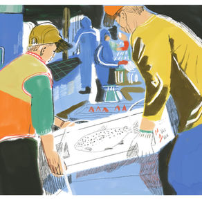 “It’s just an occupational hazard!”: Understanding the Classification of Occupational Injuries and Diseases