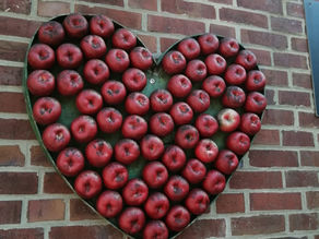 Flotte Tages- Radtour durch das Alte Land