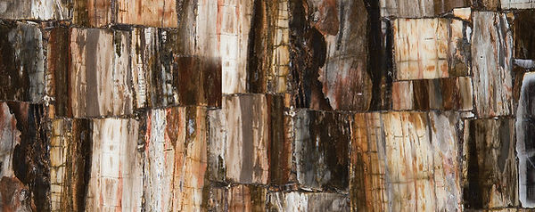 Rebecca Mitchell Interiors