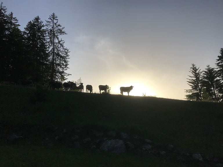 Väh Schwäderloch.jpg