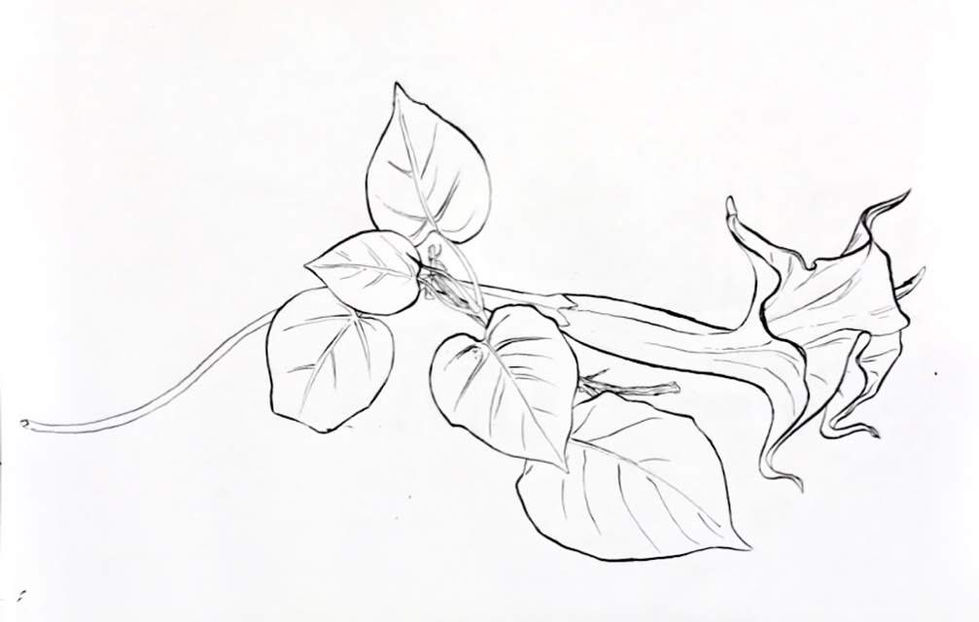 Floral Still Life.JPG