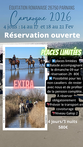 photo_1(31).png