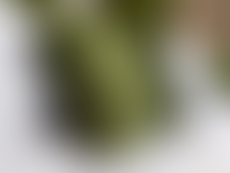 NATŪRALAUS ŠILKO PATALYNĖ