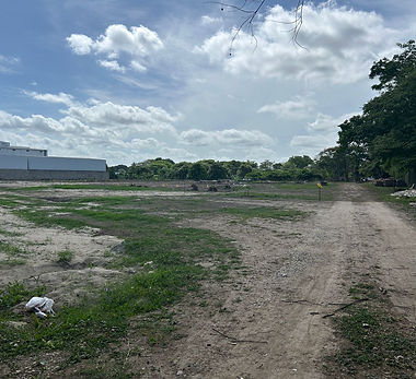 WhatsApp Image 2025-07-17 at 10.55.01 AM (2).jpeg